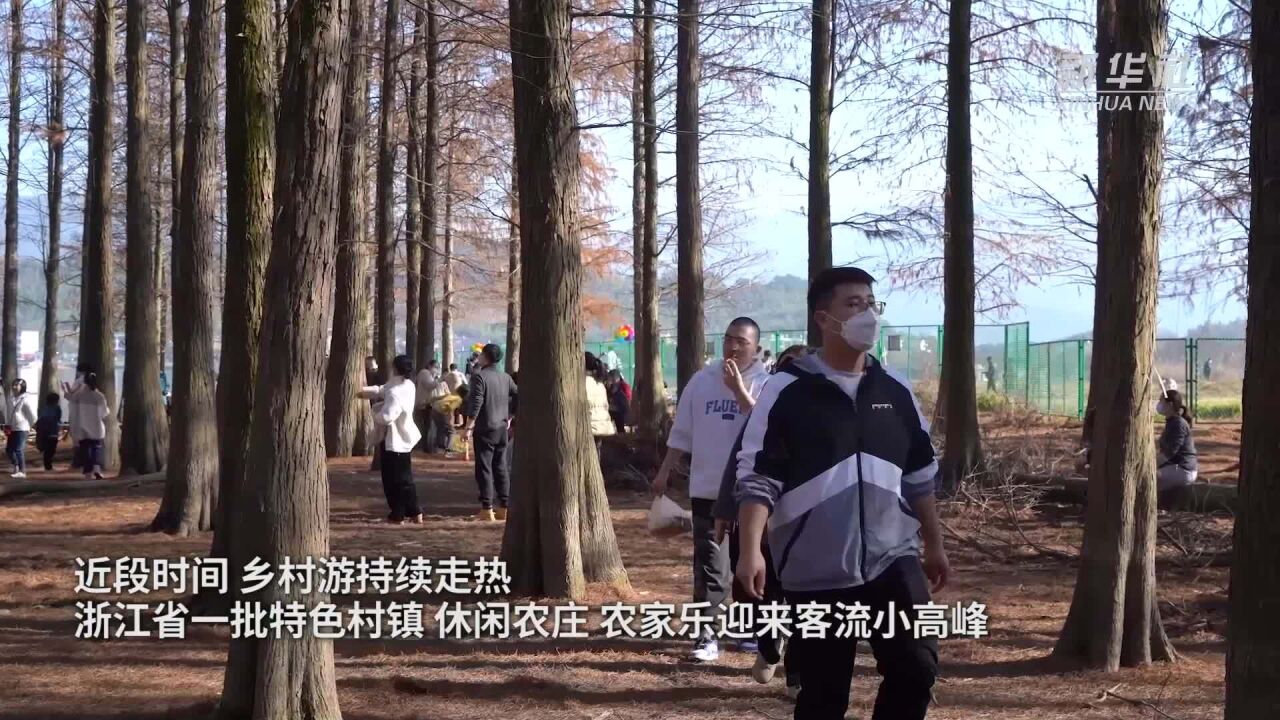 浙江宁波:电力保供支撑“乡村游”升温