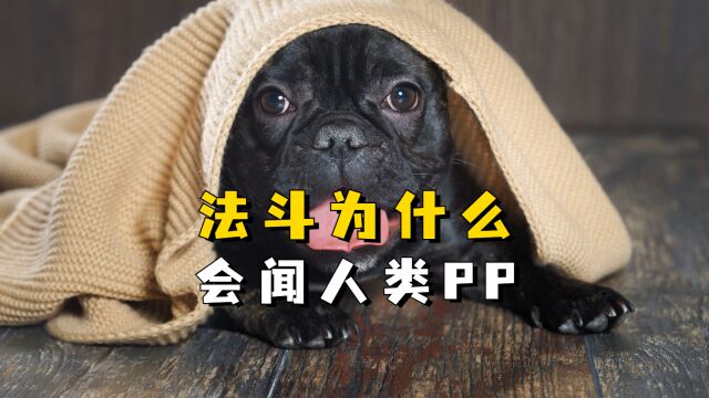 原来法斗闻人类PP,是想告诉你这些事!