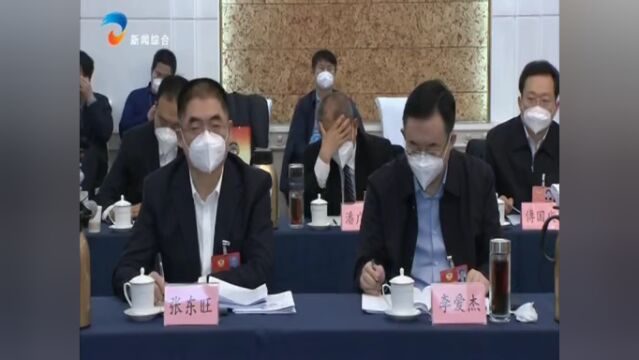 刘美华参加省政协十三届一次会议小组讨论