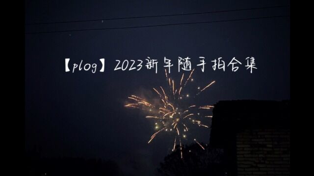 2023年新年随手拍合集