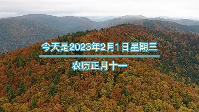 今天是2023年2月1日星期三农历正月十一,晚上好,人生短短几十年