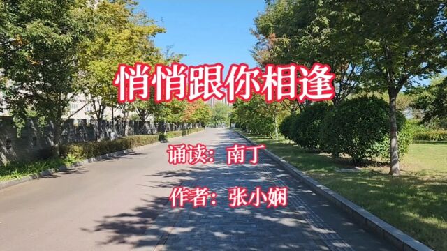 爱情散文《悄悄跟你相逢》诵读:南丁 作者:张小娴