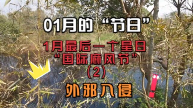 魏郡:《01月的节日》1月最后一个星日 “国际麻风节”(2),外邪入侵