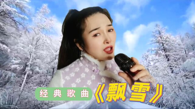 怀旧经典《飘雪》,回忆往昔,重温当年的感动,宛如置身梦幻北国