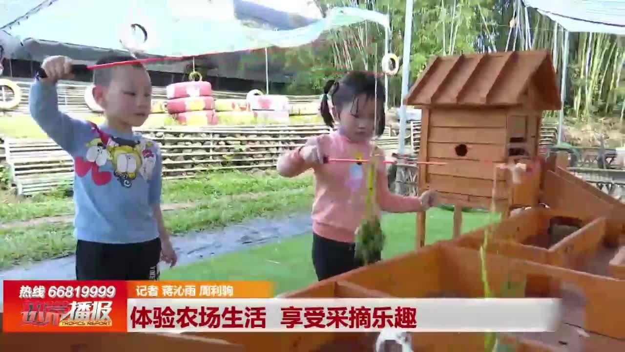 海口:体验农场生活 享受采摘乐趣