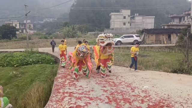 神狮拜贺到门前,新春锣鼓响连连