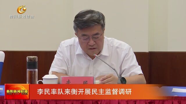 李民率队来衡开展民主监督调研