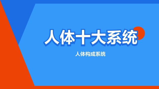 “人体十大系统”是什么意思?