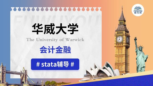 华威大学|金融会计|stata辅导