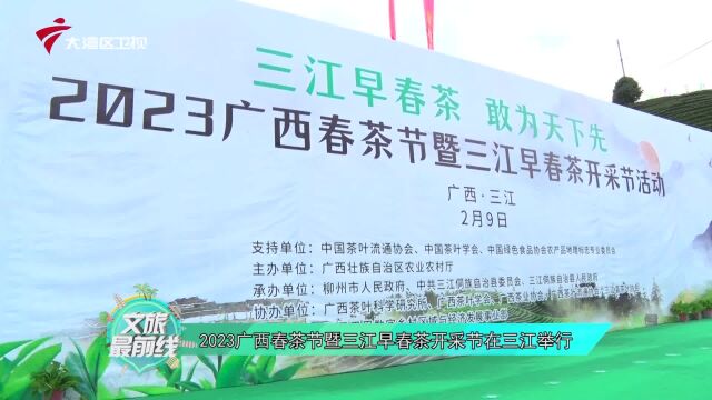 2023广西春茶节暨三江早春茶开采节在三江举行