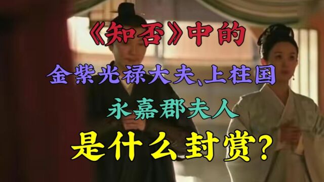 《知否》中的金紫光禄大夫、上柱国、永嘉郡夫人,是什么封赏?