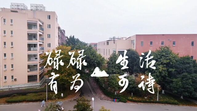 劳动铸就辉煌