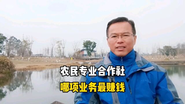 农民专业合作社,哪项业务最赚钱?