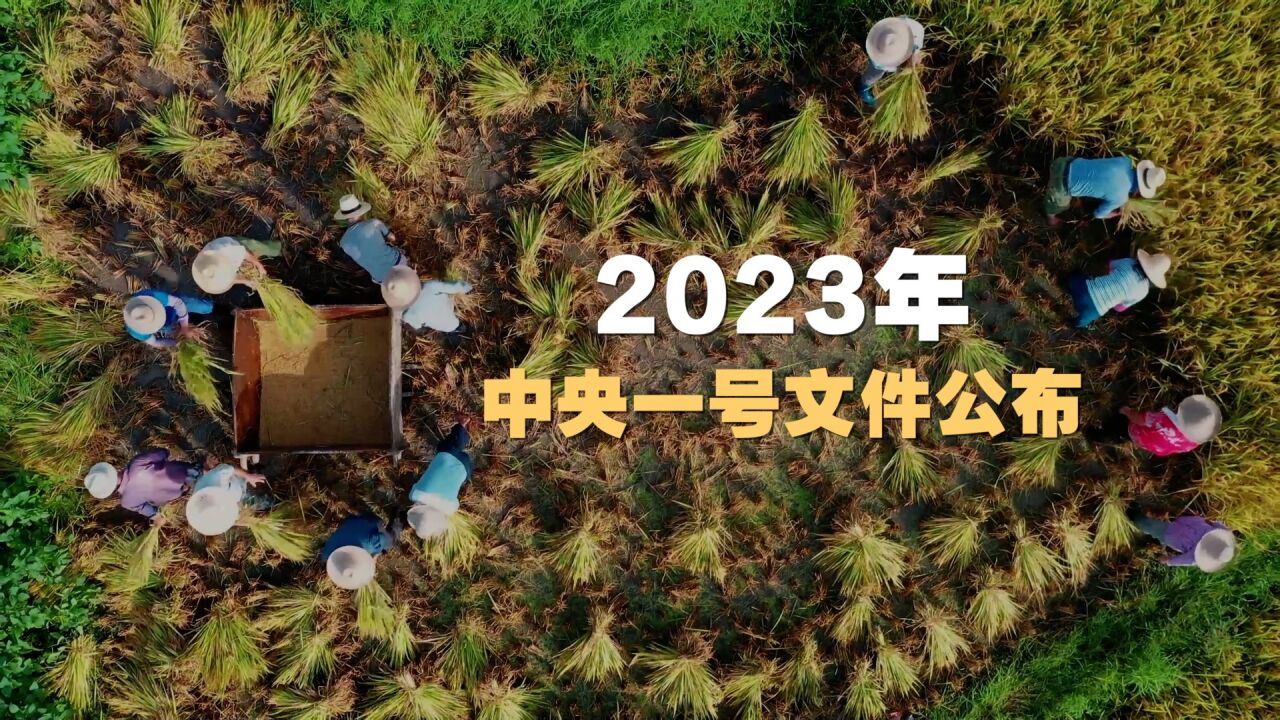 2023年中央一号文件公布