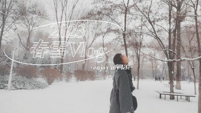 2023春雪Vlog丨北方下雪后的氛围感