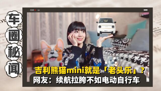 吉利熊猫mini就是「老头乐」?网友:续航拉胯不如电动自行车