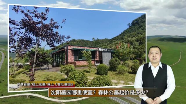 沈阳墓园哪里便宜?森林公墓起价是多少?(智汇墓园总第875期)