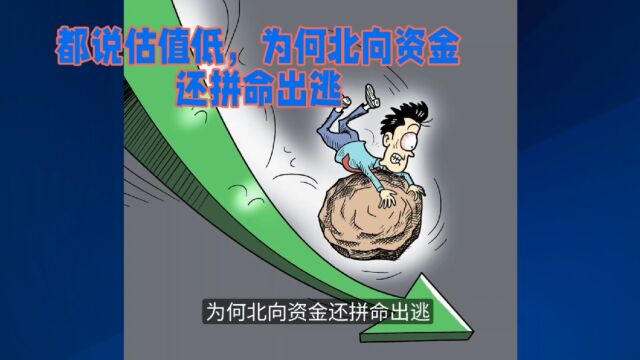 都说估值低,为何北向资金还拼命出逃?