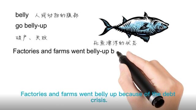 英语思维解密,为什么go bellyup表示失败、破产,轻松学英语