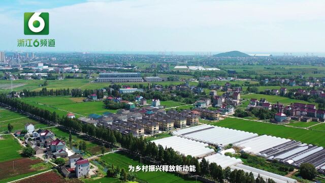 嘉兴市平湖市林埭镇:全域土地综合整治 擘画乡村振兴新蓝图