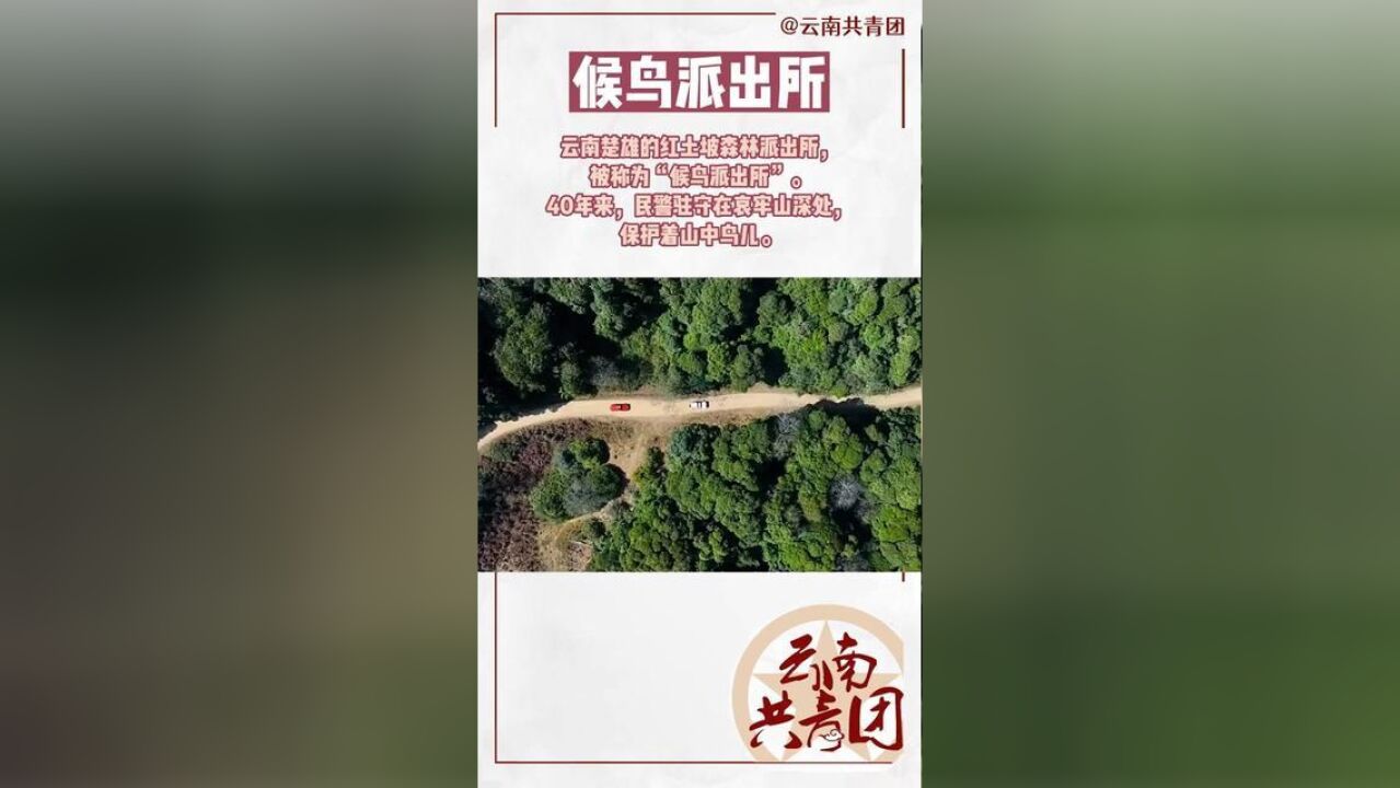 云南楚雄的红土坡森林派出所,被称为“候鸟派出所”.40年来,民警驻守在哀牢山深处,保护着山中鸟儿.