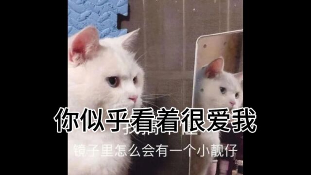 如果是这样那就分开吧