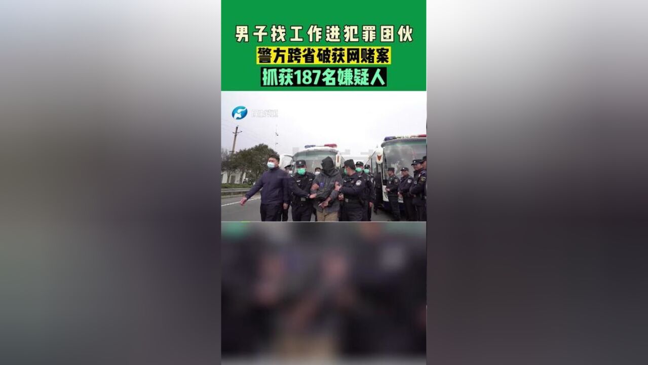 河南洛阳,男子找工作进犯罪团伙,警方跨省破获网赌案,抓获187名嫌疑人