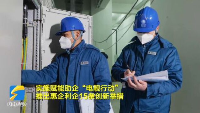 国网潍坊市寒亭区供电公司:“电靓行动”为高质量发展增势赋能