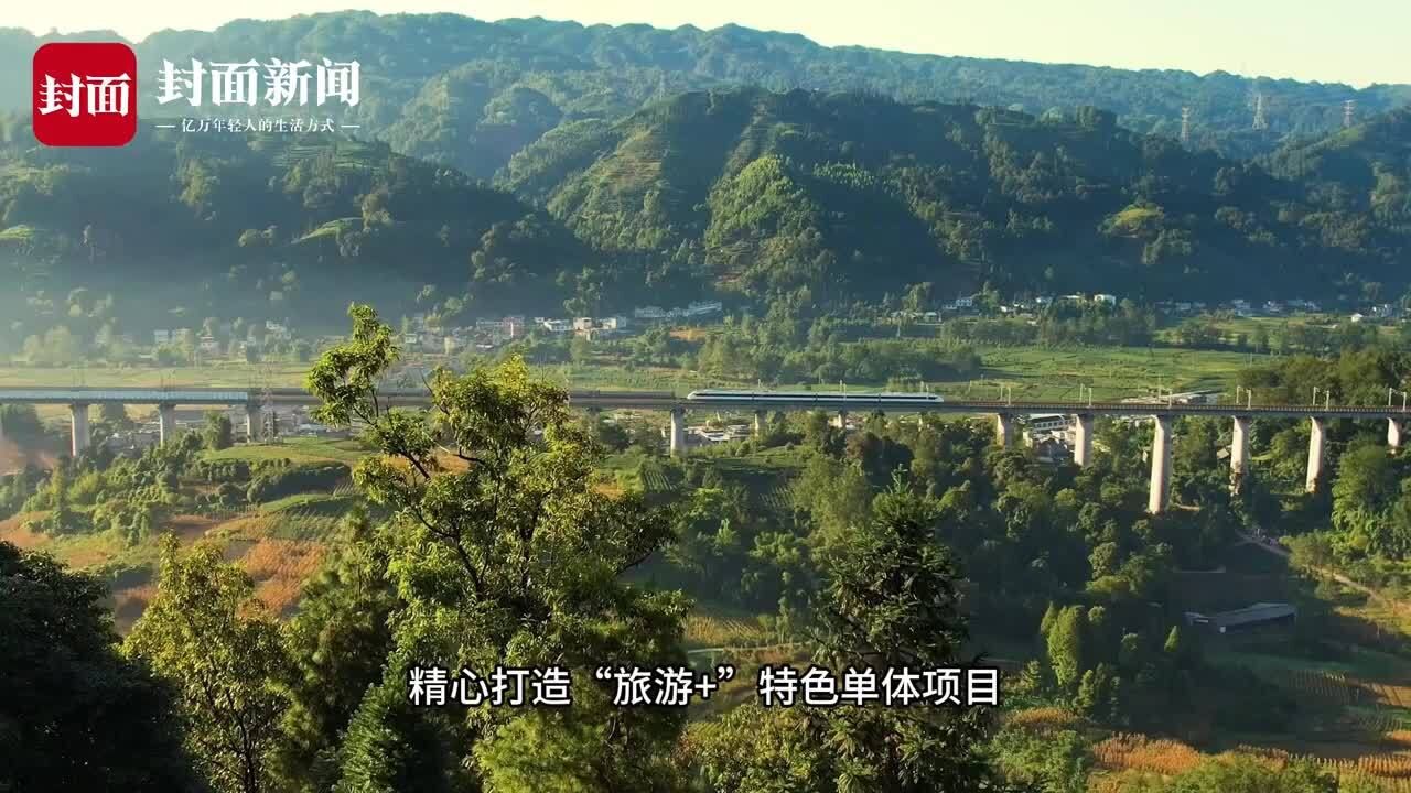 雅安名山区委书记余云峰:重点培育三大业态,开创茶旅融合新局面