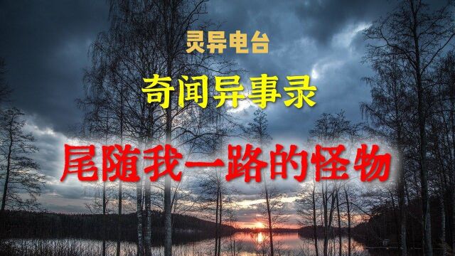 「灵异电台」尾随我一路的怪物 恐怖的故事