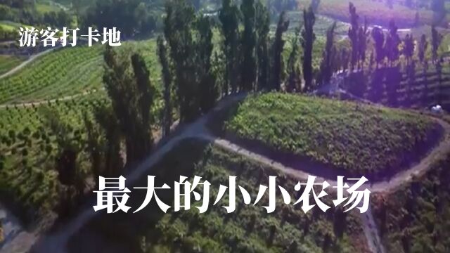 “万物共生”的和谐乐园 | 最大的小小农场 |