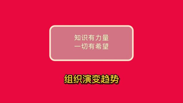 德理创新组织进化——组织演变趋势