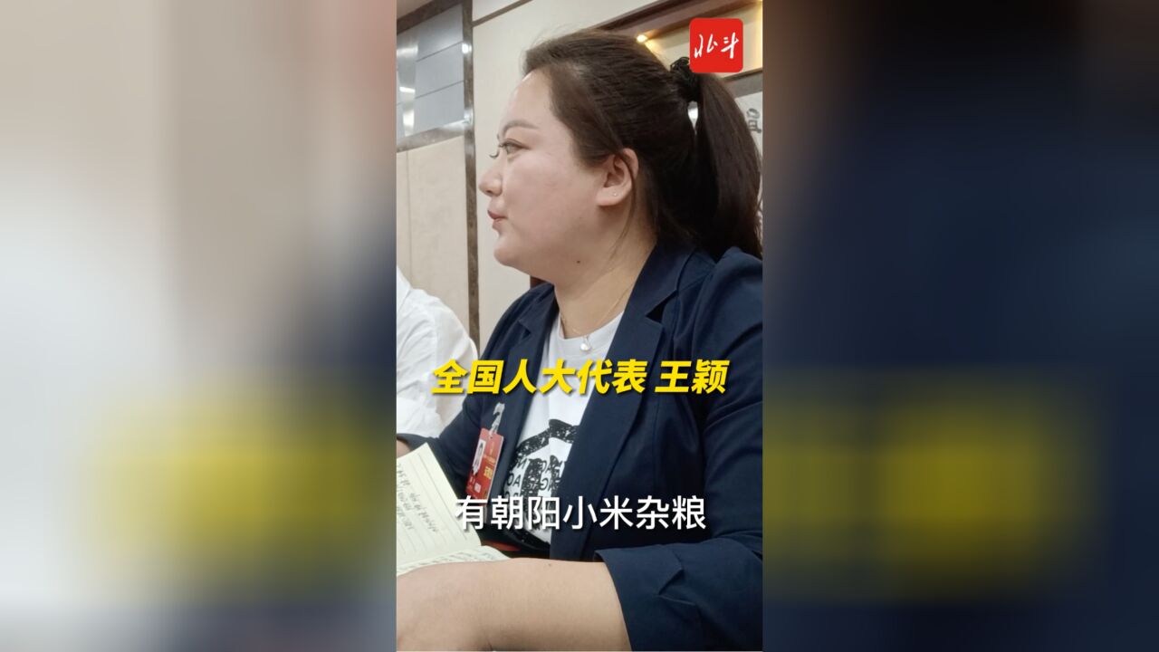 两会同期声丨全国人大代表 王颖:发展农产品电商 让老百姓腰包鼓起来