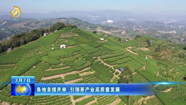 各地多措并举 引领茶产业高质量发展