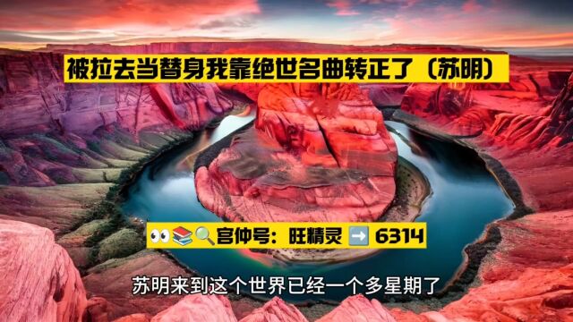 被拉去当替身我靠绝世名曲转正了(苏明黎若)小说完整版○阅读