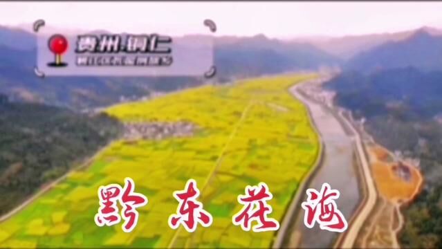 #铜仁瓦屋油菜花 铜仁踏春赏花打卡胜地 ,你到过吗#美丽的家乡田园风光 #宣传家乡旅游文化