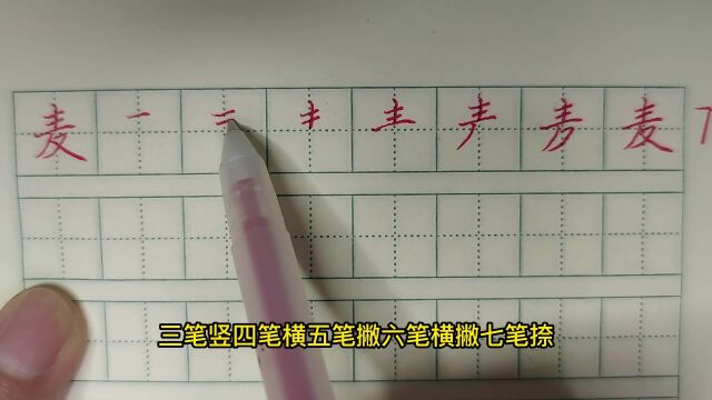 “麦”字想要写好,注意横画平行且等距,撇捺伸展靠两边