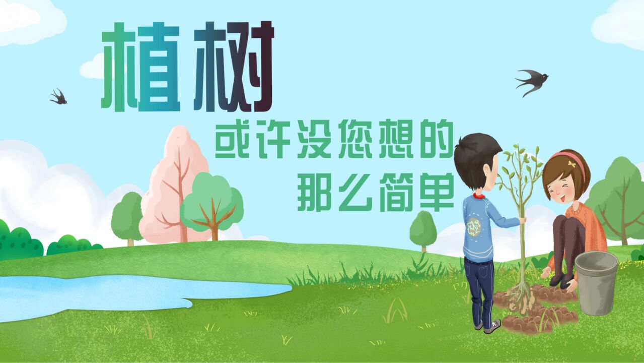 植树,或许不是我们想象的那么简单