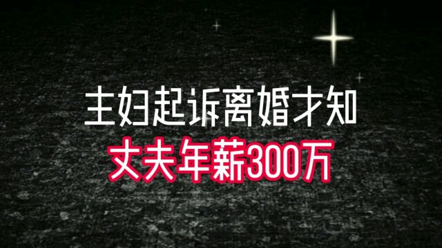 主妇起诉离婚才知丈夫年薪300万