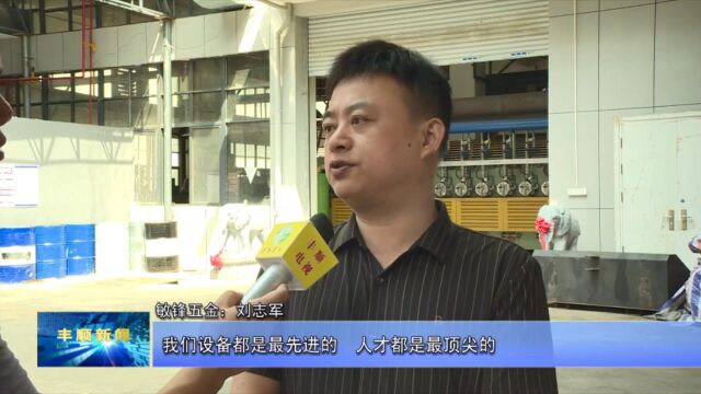 2丰顺持续优化营商环境发展壮大实体经济