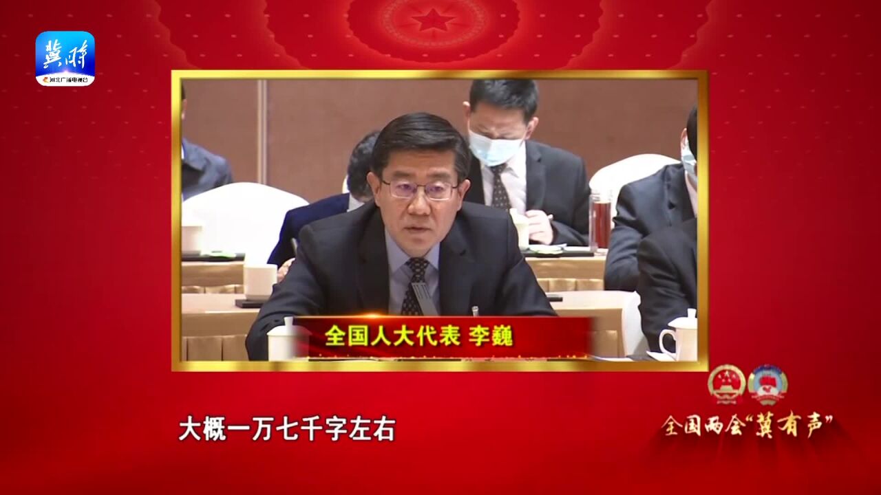 【两会“冀有声”】全国人大代表 李巍:政府工作报告令人备受鼓舞 倍加振奋