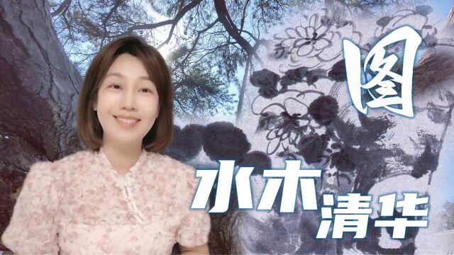 虚白映衬下荷叶和菊叶,宛若心灵的无象——《水木清华图》朱耷