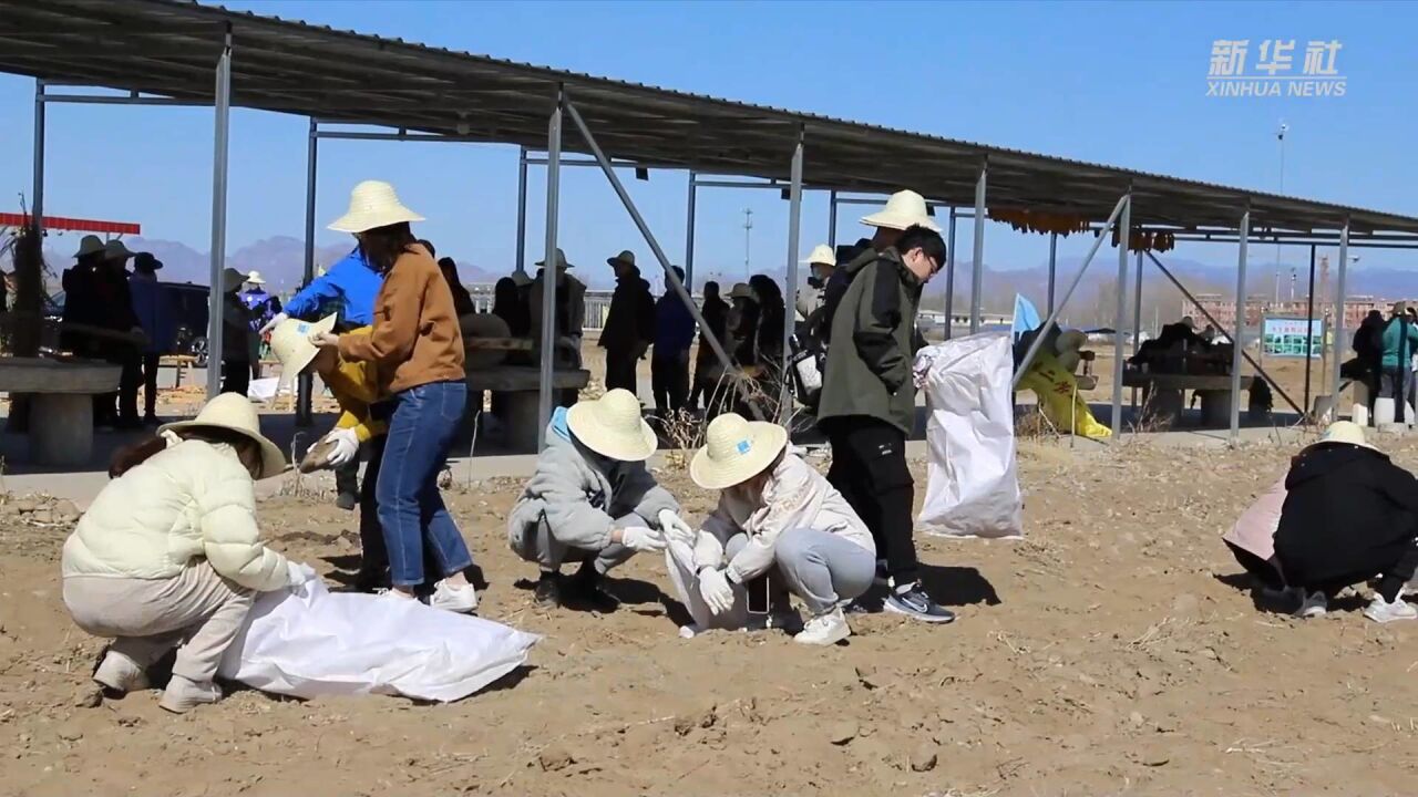 首都高校学生走进河北涿州开展劳动教育