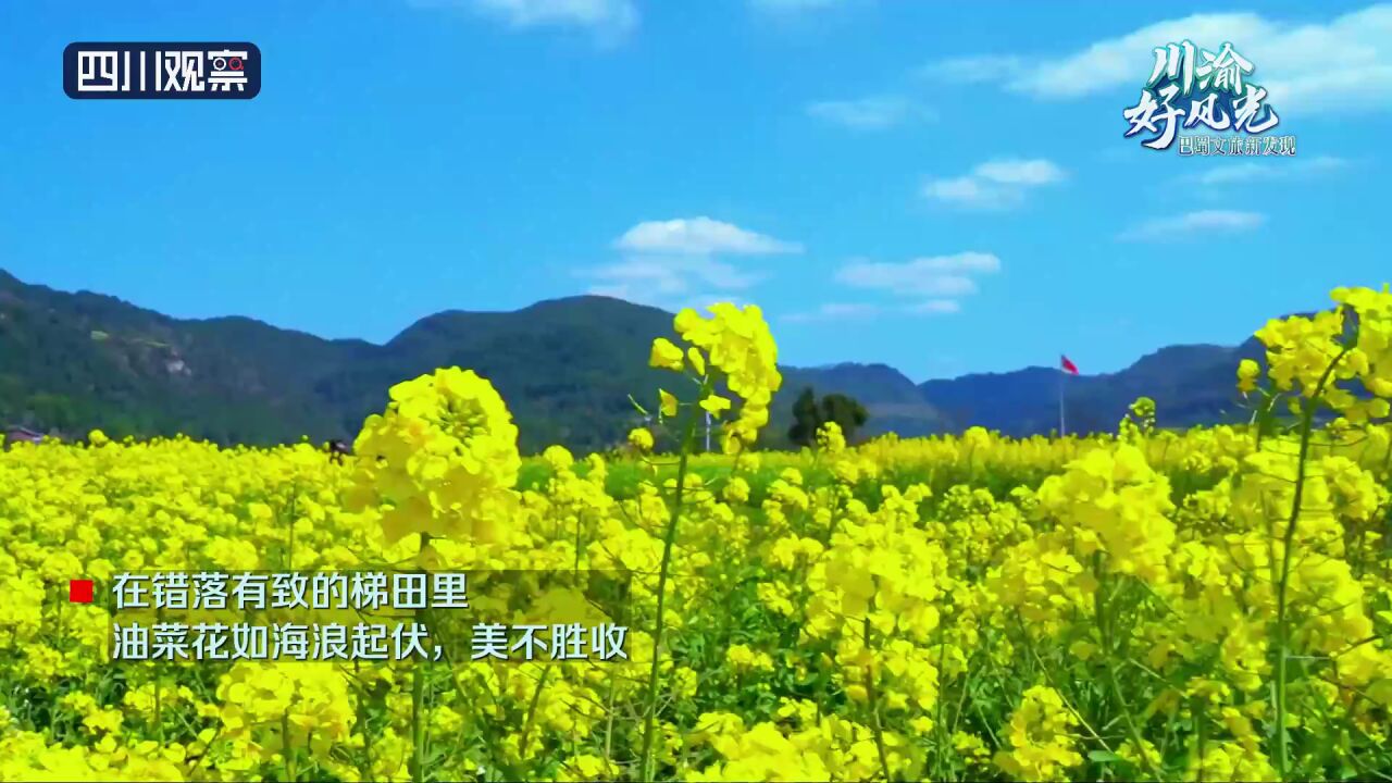 川渝好风光丨达州米城:高山油菜花扮靓多彩乡村