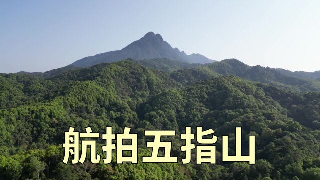 巍巍五指山,海南岛的第一高山,无人机风光航拍摄影