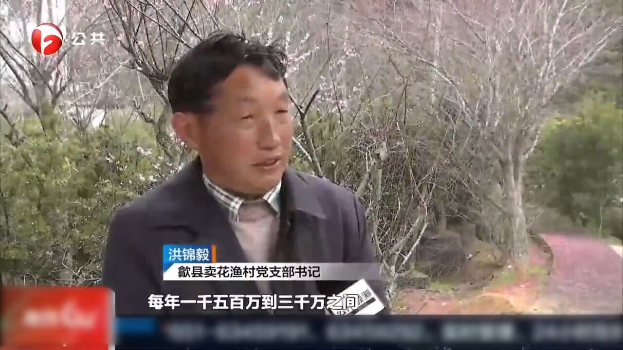 歙县:只卖花不打渔,这个“渔村”好风景