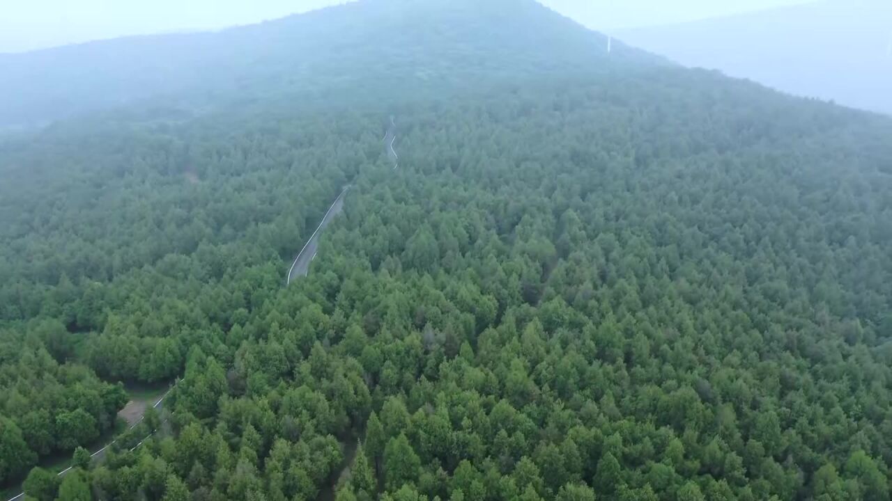 我市强化“三防”体系建设做好森林防火工作