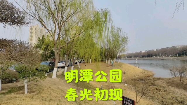 东营东城明潭公园,春光初现