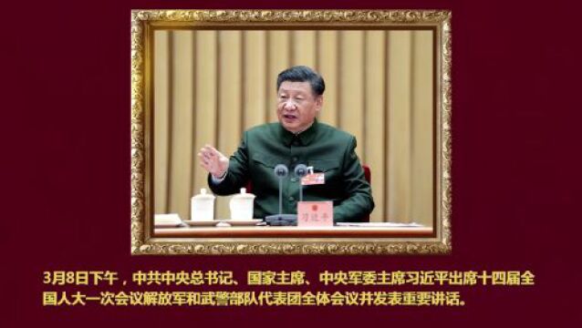 金色相框|领航新征程——习近平在全国两会上