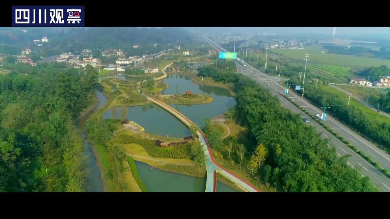 四川规模最大萤火虫生态区邀你来“追光”